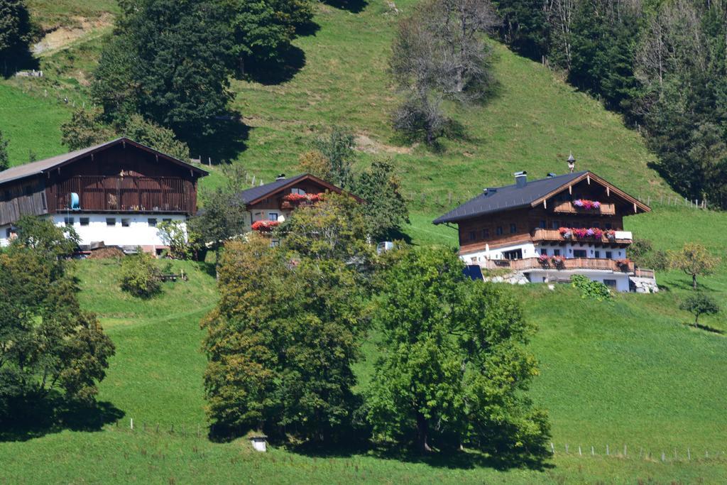 Vila Bio-Bergbauernhof Hubgut Zell am See Exteriér fotografie